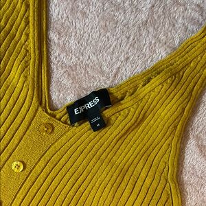 Express Mustard Ribbed Knit Top